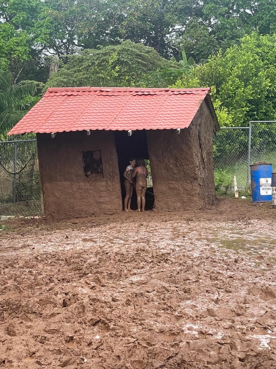 Casa de techo rojo en un claro del bosque
