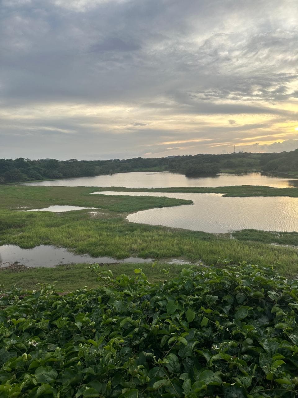 Humedales y río bajo un cielo de atardecer