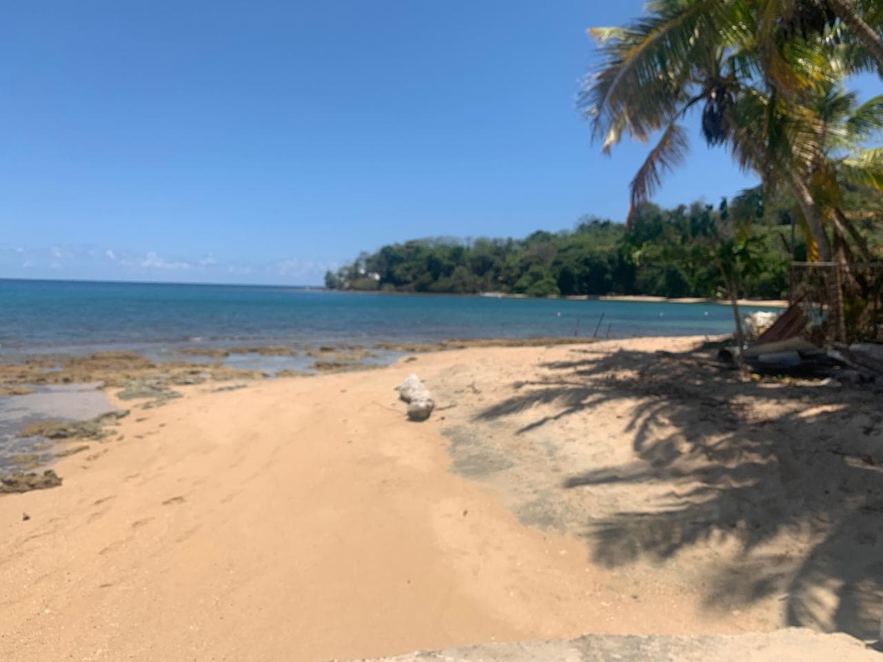 Isla Contadora